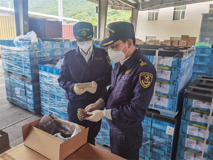 Thúc đẩy ngoại thương đảm bảo ổn định và nâng cao chất lượng Hải quan Ninh Ba ban hành 20 biện pháp “cốt tử”