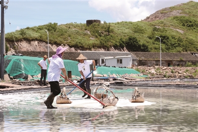 Người đầu tiên trong tỉnh! Khai trương viện làm khô muối biển thị trấn đảo Xiangshan Gaotang không mang gen