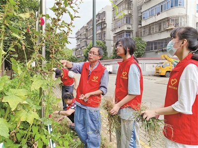 “Thầy hoa” cùng đội hoa không còn đơn độc